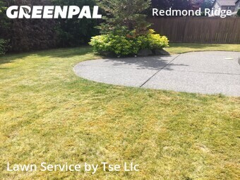 Lawn mowed in Redmond, 98053