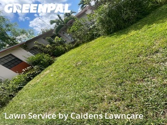Yard Mowing nearby West Park, FL, 