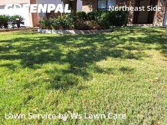 Lawn Cutin Schertz,78154,Lawn Cut by Ws Lawn Care, work completed in Nov , 2025