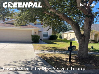 Landscaping Companies In Tampa,33647,Landscaping Installation by Mks Service Group, work completed in Nov , 2025