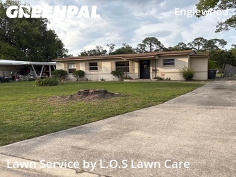 Grass Cut nearby Jacksonville, FL, 