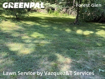 Lawn Maintenance nearby Silver Spring, MD, 