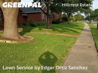 Yard Mowing nearby Frisco, TX, 