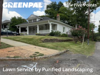 Grass Cut nearby Birmingham, AL, 