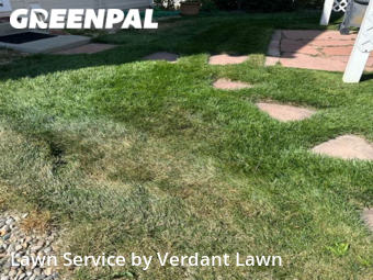 Lawn Mow nearby Loveland, CO, 