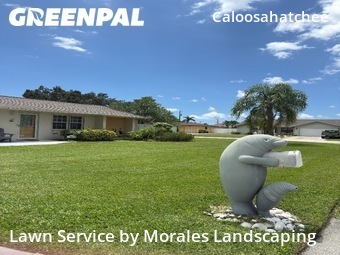 Lawn Service nearby Cape Coral, FL, 