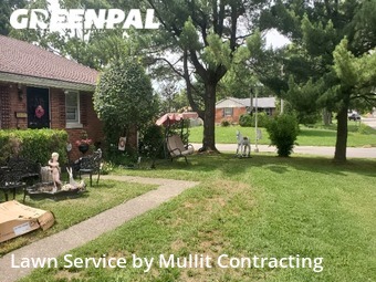 Lawn Mow nearby Lexington, KY, 
