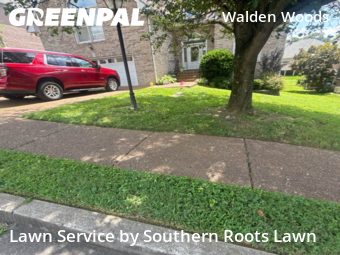 Grass Cuttingin Hermitage,37076,Grass Cut by Southern Roots Lawn, work completed in Feb , 2026