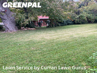 Grass Cutting nearby St. Louis, IL, 