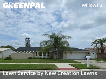 Lawn Cutin Brandon,33594,Grass Cutting by New Creation Lawns, work completed in Jun , 2026