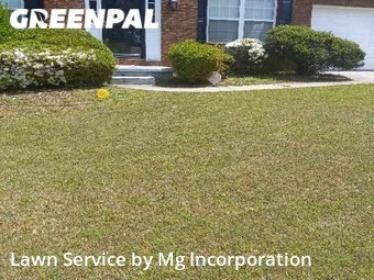 Lawn Service nearby Lithonia, GA, 