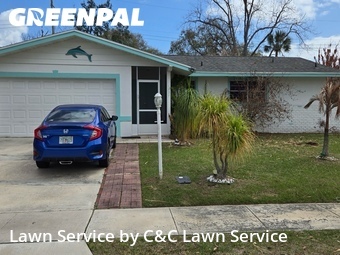 Grass Cut nearby Rockledge, FL, 