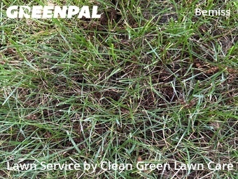 Lawn Maintenance nearby Spokane, WA, 