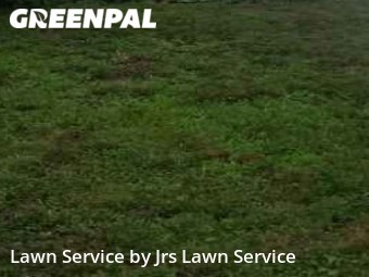 Grass Cut nearby University City, MO, 