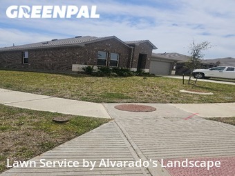Lawn Care nearby Shenandoah, TX, 