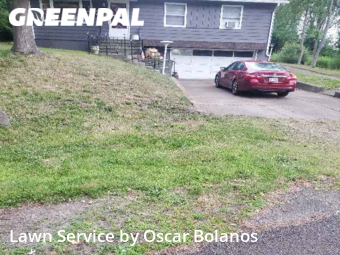 Grass Cut nearby Binghamton, NY, 