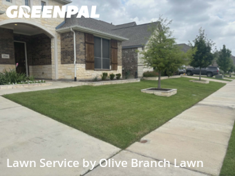 Grass Cutting nearby Haslet, TX, 