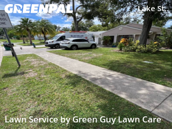 Lawn Mow nearby Palm Harbor, FL, 