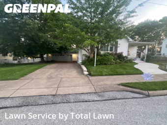 Lawn Cutting nearby St. Louis, IL, 