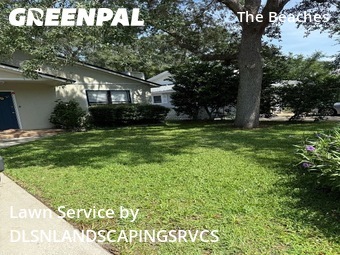 Lawn Maintenancein Jacksonville Beach,32250,Lawn Care by DLSNLANDSCAPINGSRVCS, work completed in Dec , 2025