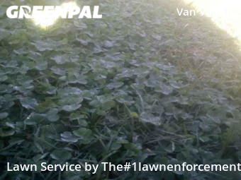 Grass Cutting nearby Port Orange, FL, 