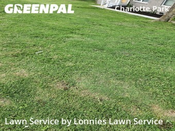 Lawn Mowing nearby Nashville, TN, 