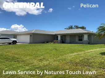 Grass Cutting nearby Cape Coral, FL, 