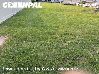 Yard Cutting nearby Trenton, NJ, 