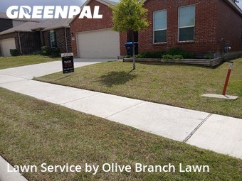 Landscaper In Fort Worth,76131,Landscaping Installation by Olive Branch Lawn, work completed in Apr , 2026