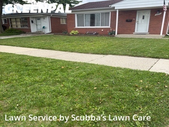 Grass Cut nearby Taylor, MI, 