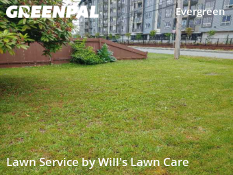 Lawn Cut nearby Everett, WA, 