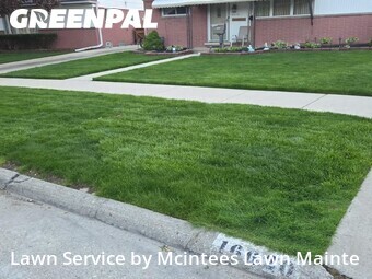 Yard Mowing nearby Southgate, MI, 