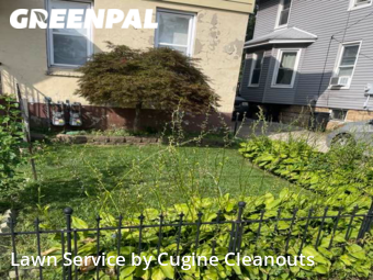 Grass Cut nearby Rahway, NJ, 