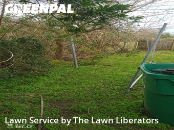 Lawn Mowing nearby Saint Rose, LA, 