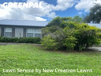Lawn Mowing Servicein Brandon,33594,Lawn Care Service by New Creation Lawns, work completed in Jun , 2026
