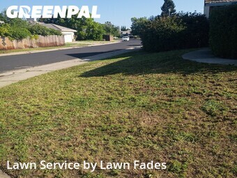 Lawn Cut nearby Elk Grove, CA, 