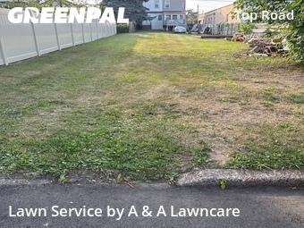Grass Cutting nearby Trenton, NJ, 