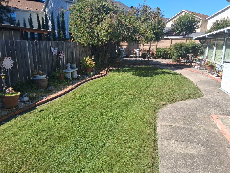 Healthy Lawn Full Website (Copy, 234 selected)