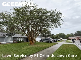 Lawn Cut nearby Orlando, FL, 