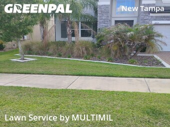 Lawn Cutin Tampa,33647,Lawn Care by MULTIMIL , work completed in Jun , 2026