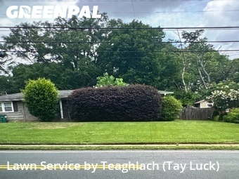 Lawn Cut nearby Smyrna, GA, 