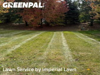 Yard Cutting nearby Canton, MI, 