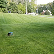 lawn-maintenance-in-Bridgeport-CT