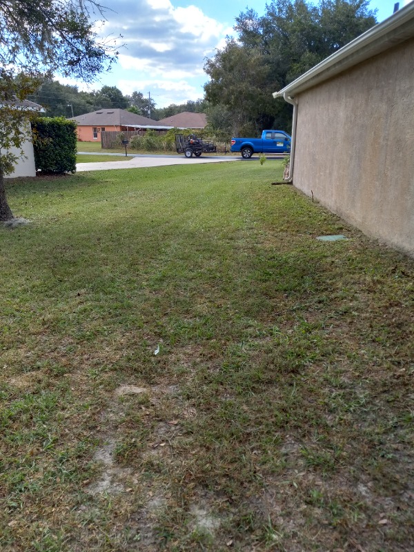Pure Cuts Lawn Care Lawn Care Services in Ocala, FL
