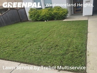 Lawn mowed in Dallas, 75212