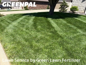 Lawn Mowing nearby Nixa, MO, 
