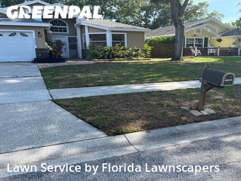 Lawn Care nearby Palm Harbor, FL, 