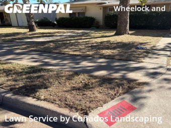 Mowing Services in Lubbock, 79413, Grass Care by Cuñados Landscaping, work completed in Nov , 2025