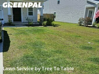 Lawn Service nearby Charleston, SC, 