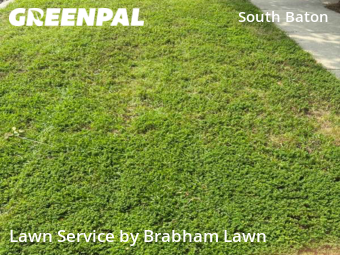 Lawn Cut nearby Baton Rouge, LA, 